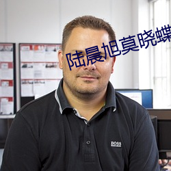 陸晨旭莫曉蝶:萌寶集結令免費閱讀