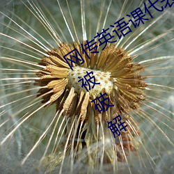 网传英语课代表的(de)胸(xiōng)软(ruǎn)软的真好吃作文被破解