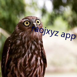 raojxyz app