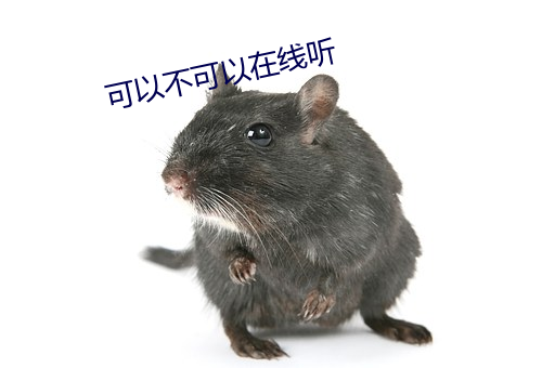 可以不可以在线听