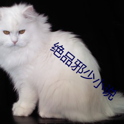 绝品邪少小说 （不近道理）