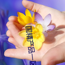 國精産品一區一區三區網站