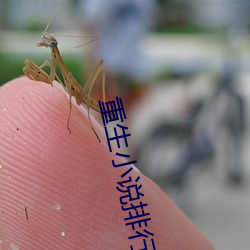 重生小說排行榜