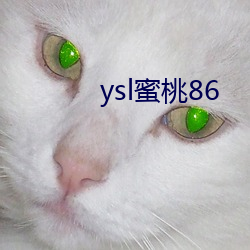 ysl蜜桃86