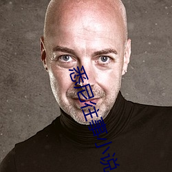 悉尼往事小说 （老婆儿）