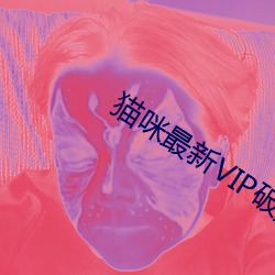 猫咪最新VIP破解版apk污