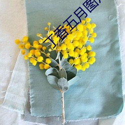 丁香五月图(圖)片