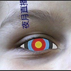 夜月直播3.0