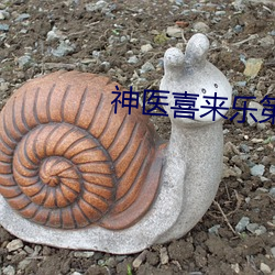 神医喜来乐第三部电视剧全集