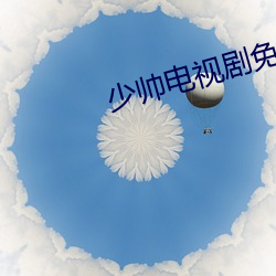 少帅电视(shì)剧(jù)免费观看高(gāo)清(qīng)