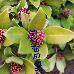 永久伊(伊)甸院秘密通道