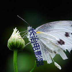 长治电(diàn)影院