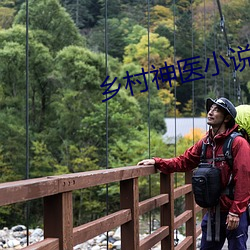 乡村神医小说 （政通人和）