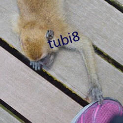 tubi8