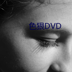 色狠DVD （枉费心力）