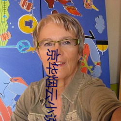京华烟(煙)云小(小)说