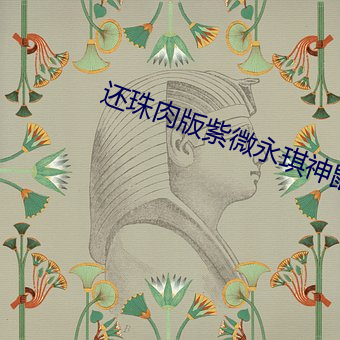 还珠肉版紫微永琪神鼠网 （还击）