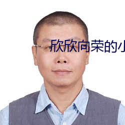欣欣向榮的小說