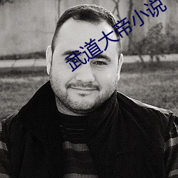 武道大帝小說