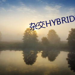 杂交HYBRIDIZATION