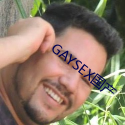 GAYSEX Ⱦ