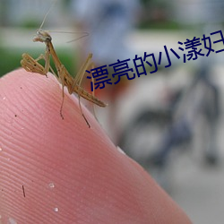 漂亮的小漾婦3美國