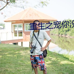 重生之寵你沒商量