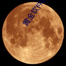 黄金(jīn)软件app下载