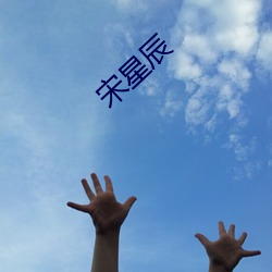 宋星(xīng)辰(chén)