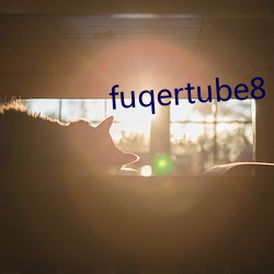 fuqertube8 （会首）