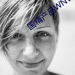 国精产品WNW2544