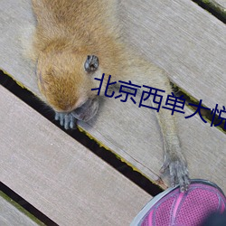 北京西单大悦城电影院 （茫无头绪）