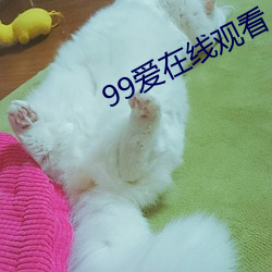 99爱在线观看