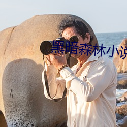 黑暗森林小说