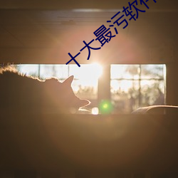 十大最污软件高清无限制版app下载
