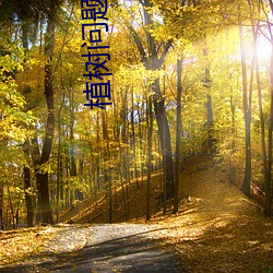 &#x65E5;&#26412;&#x7279;&#40644;&#x7279;&#33394;&#x5927;&#29255;&#x514D;&#36153;&#x64AD;&#25918;_7x7x7x7x7&#x4EFB;&#24847;&#x69FD;2023v3.1.2_&#x690D;&#26641;&#x95EE;&#39064;&#x6559;&#23398;&#x53CD;&#24605;