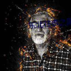 东北(北)往(往)事之黑(黑)道风云20年小(小)说