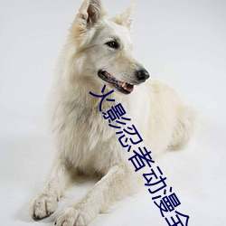 火影忍者動漫全集免費觀看