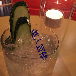 美人宜修