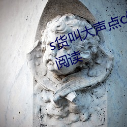 s货叫大声点c烂你的sbxs无阅读 ）