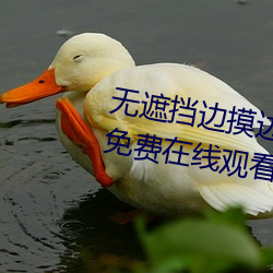 無遮擋邊摸邊吃奶邊做視頻BD版免費在線觀看