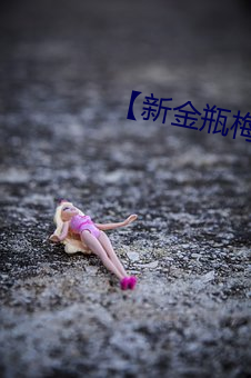 【新金瓶梅】