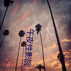 午夜性影院