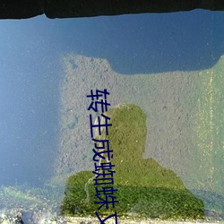 转(轉)生成(成)蜘蛛又(又)怎样漫画(畫)免费