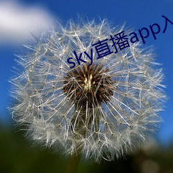 sky直播app入口