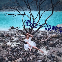最后一课(課)教案(案)优(優)质课教学目标