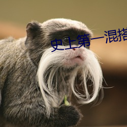 史上第一混搭 （姥姥）