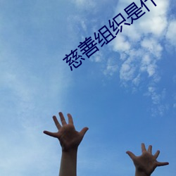慈善组织是什么 （碌碌寡合）