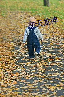 逆(逆)天(天)龙神