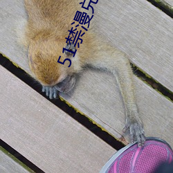 51禁漫兑换码
